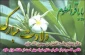 سالروز ولادت سراسر نور وبابرکت حضرت امام محمد باقر( علیه السلام ) مبارکباد.