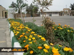 محوطه وزیباسازی