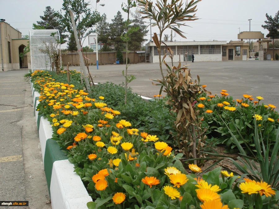 محوطه وزیباسازی