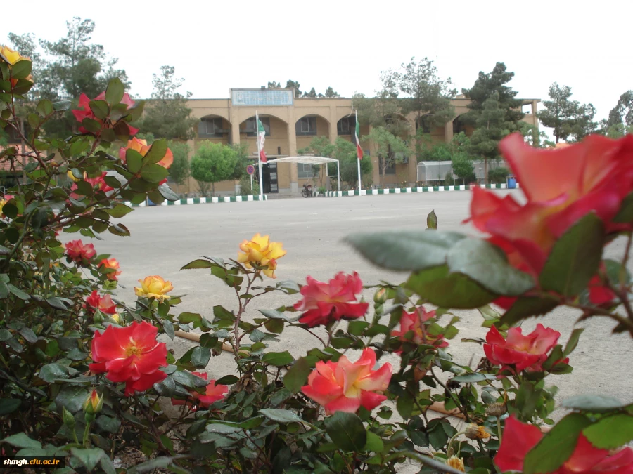 مرکزآموزش عالی شهید مدنی (ره) قـم