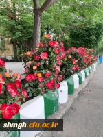 مرکزآموزش عالی شهید مدنی (ره) قـم