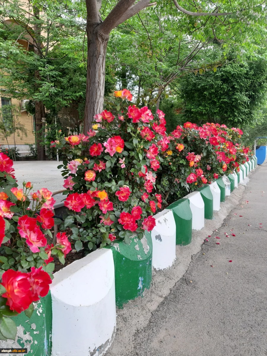 مرکزآموزش عالی شهید مدنی (ره) قـم