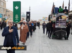 شهادت حضرت فاطمه معصومه(سلام الله علیها)