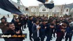 شهادت حضرت فاطمه معصومه(سلام الله علیها)