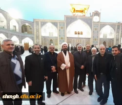 شهادت حضرت فاطمه معصومه(سلام الله علیها)