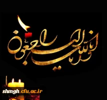 استاد گرامی جناب آقای دکتر موسوی 2