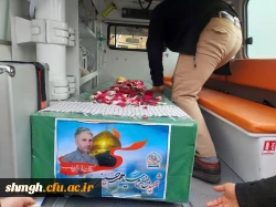 سردار سلیمانی