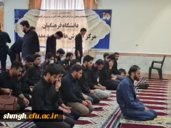 مراسم عزاداری سرور وسالار شهیدان حضرت ابا عبدالله الحسین(علیه السلام) ویاران باوفای ایشان 9