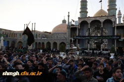 حضور باشکوه دانشجو معلمان در حرم مطهر حضرت فاطمه معصومه (سلام الله علیها) در روز رحلت شهادتگونه ایشان +تصویر 15