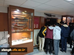 بازدید دانشجو معلمان از نمایشگاه پیشگیری از وقوع جرم دادگستری استان قم 6