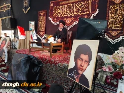 بمناسبت ایام فاطمیه وچهلم شهدای (شاه چراغ)حرم احمد بن موسی (علیه السلام ) 3