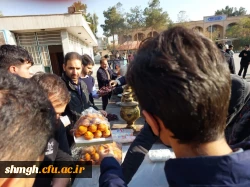 بمناسبت ایام فاطمیه وچهلم شهدای (شاه چراغ)حرم احمد بن موسی (علیه السلام ) 6