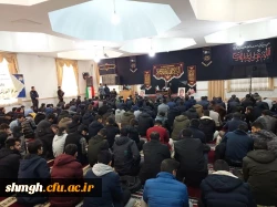 بمناسبت ایام فاطمیه وچهلم شهدای (شاه چراغ)حرم احمد بن موسی (علیه السلام ) 8