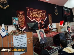 بمناسبت ایام فاطمیه وچهلم شهدای (شاه چراغ)حرم احمد بن موسی (علیه السلام ) 12