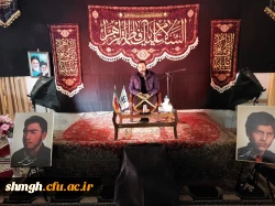 بمناسبت ایام فاطمیه وچهلم شهدای (شاه چراغ)حرم احمد بن موسی (علیه السلام ) 13