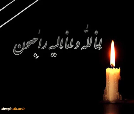 پیام تسلیت اساتید،کارکنان و دانشجویان مرکز شهید مدنی(ره) به ریاست مرکز حجت الاسلام و المسلمین امدادی 2