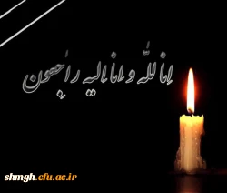 پیام تسلیت اساتید،کارکنان و دانشجویان مرکز شهید مدنی(ره) به ریاست مرکز حجت الاسلام و المسلمین امدادی 3