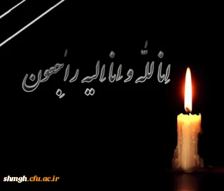 پیام تسلیت اساتید،کارکنان و دانشجویان مرکز شهید مدنی(ره) به ریاست مرکز حجت الاسلام و المسلمین امدادی