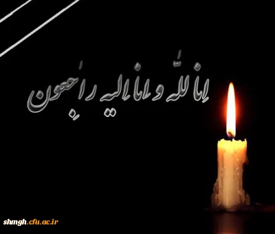 پیام تسلیت اساتید،کارکنان و دانشجویان مرکز شهید مدنی(ره) به ریاست مرکز حجت الاسلام و المسلمین امدادی