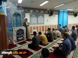 مراسم میلاد حضرت معصومه(سلام علیها) 3