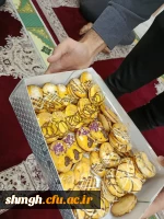 مراسم میلاد حضرت معصومه(سلام علیها) 4