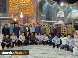 برگزاری مراسم دهه کرامت با زیارت حرم مطهر حرم حضرت معصومه(سلام الله علیها) 2