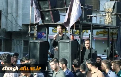حرکت دسته عزاداری دانشگاه فرهنگیان استان فم در سالروز وفات حضرت معصومه سلام اللهعلیها 6